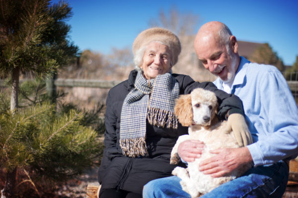 senior couple sitting on park bench with a dog sitting in man's lap