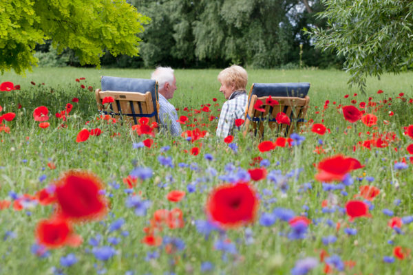 Senior couple sitting among red poppies in garden.