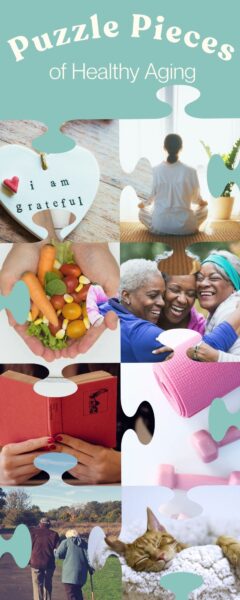 Graphic of puzzle pieces of healthy living tips found in this blog